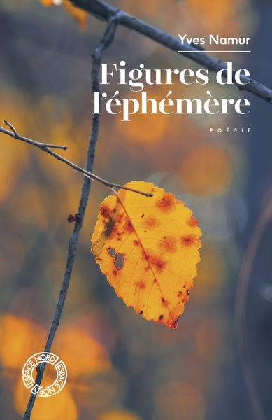 Image de Figures de l'éphémère