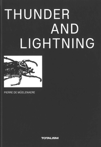 Picture of Thunder and lightning