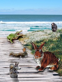 Image de Des plumes et des poils