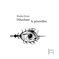 Image de Détachant la pénombre