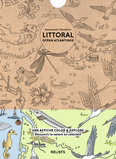 Picture of Affiche à colorier – Littoral océan Atlantique