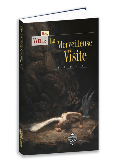 Image de LA MERVEILLEUSE VISITE