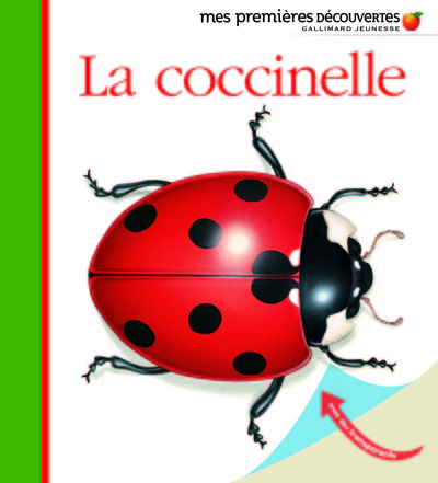 Image de La coccinelle