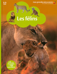 Picture of Les félins