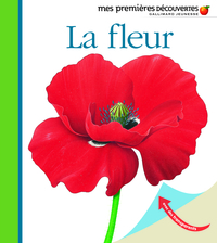 Picture of La fleur