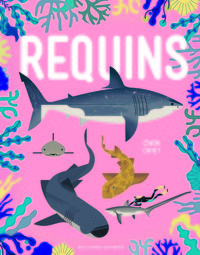 Picture of Requins