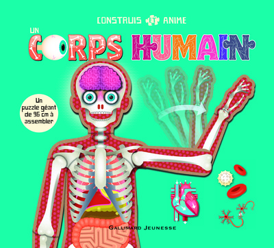 Image de Construis et anime un corps humain