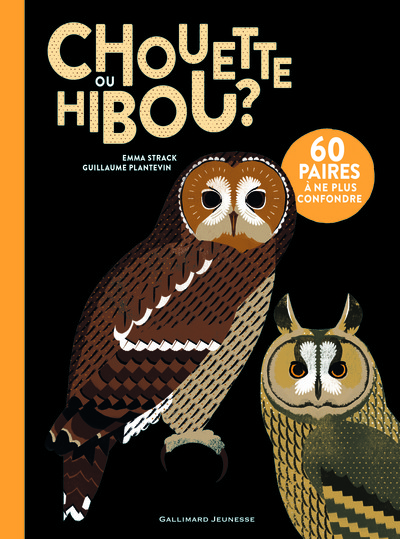 Picture of Chouette ou hibou ?
