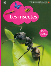 Picture of Les insectes