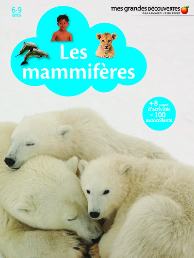 Picture of Les mammifères