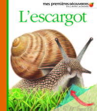 Image de L'escargot