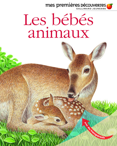 Picture of Les bébés animaux