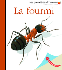 Picture of La fourmi