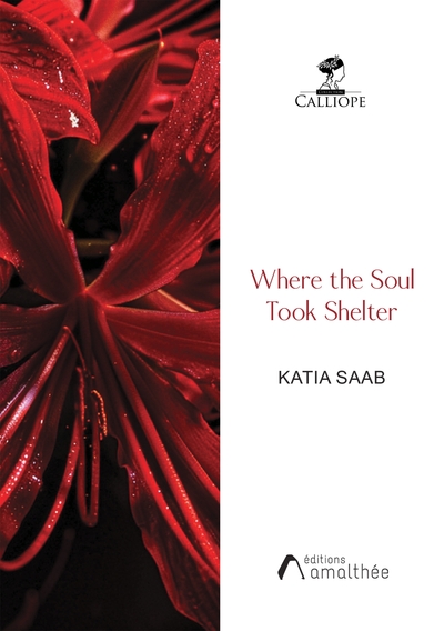 Image de Where the Soul Took Shelter