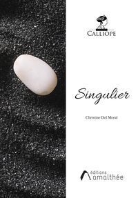 Picture of Singulier