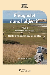 Image de Plougastel dans l'objectif - Tome 3 : Les secrets de la steppe