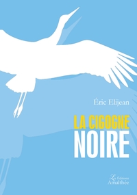 Picture of La cigogne noire