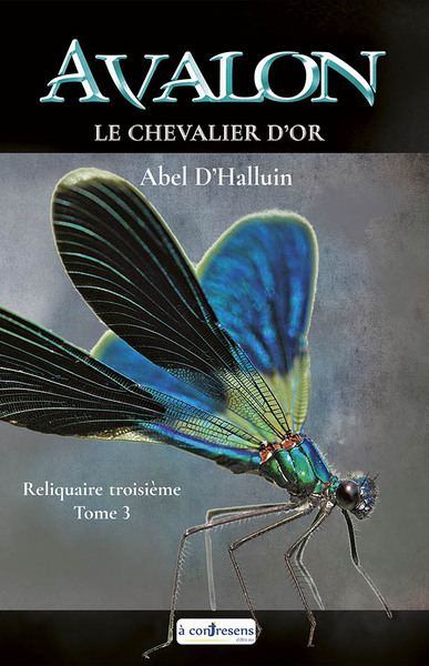 Picture of AVALON  Le chevalier d'or : Reliquaire troisième tome 3