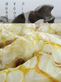 Image de Huang Yong Ping