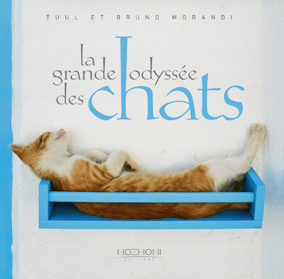 Image de La grande odyssée des chats