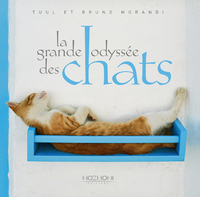Image de La grande odyssée des chats