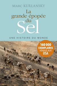 Image de La grande épopée du sel - Une histoire du monde