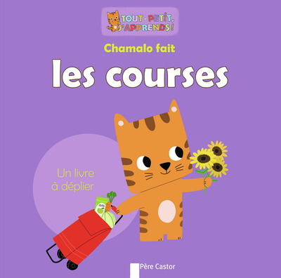 Picture of Chamalo fait les courses