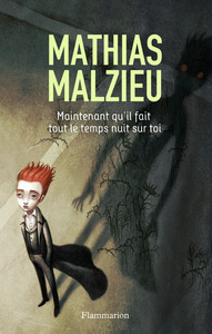 Image de Maintenant qu'il fait tout le temps nuit sur toi
