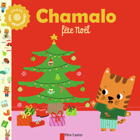Image de Chamalo fête Noël