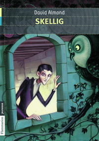 Image de Skellig