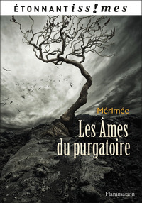 Image de Les Âmes du purgatoire