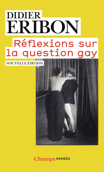 Image de Réflexions sur la question gay