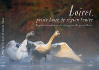 Image de Loiret, petite Loire de région Centre