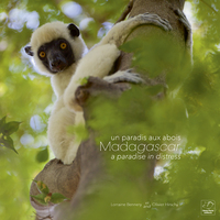 Image de Madagascar un paradis aux abois - Madagascar a paradise in distress