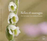 Picture of Belles et sauvages - les orchidées françaises