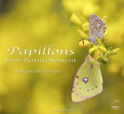 Picture of Papillons tout naturellement