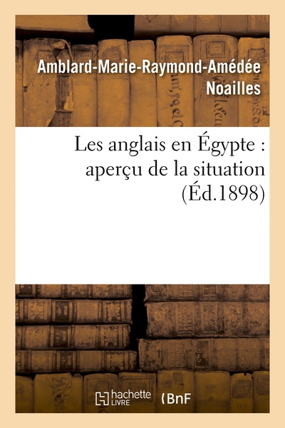 Picture of Les anglais en Égypte : aperçu de la situation