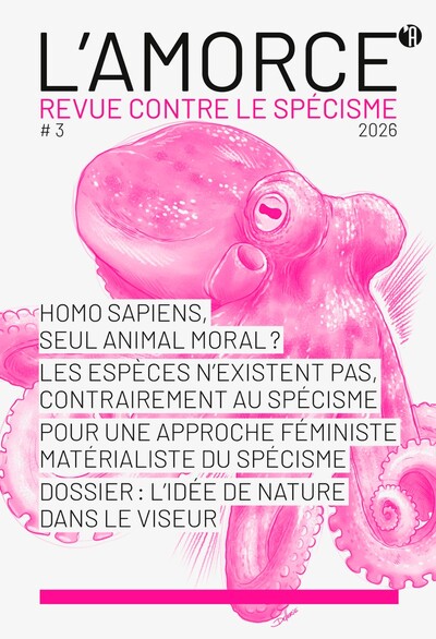Image de L'amorce n°3