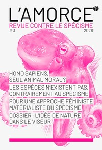 Image de L'amorce n°3