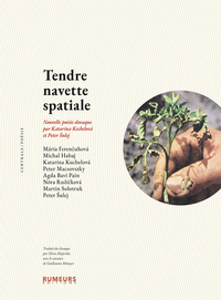 Image de Tendre navette spatiale