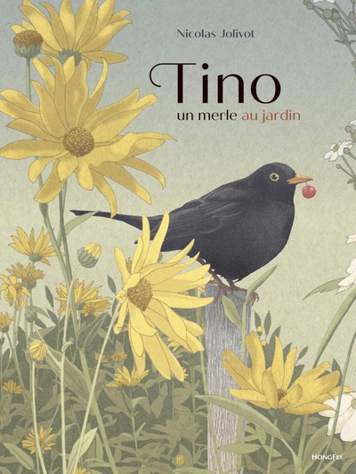 Image de Tino, un merle au jardin