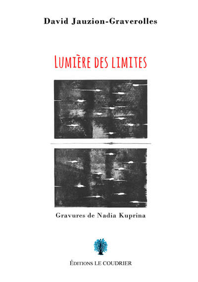 Picture of Lumière des limites
