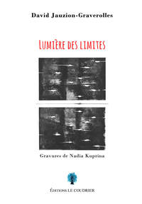 Picture of Lumière des limites