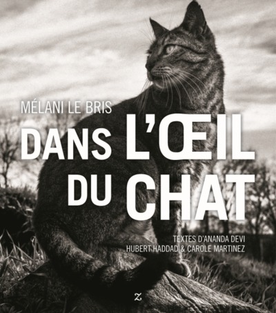 Image de Dans l'oeil du chat