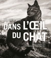 Image de Dans l'oeil du chat