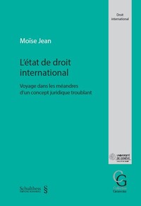 Image de L'état de droit international