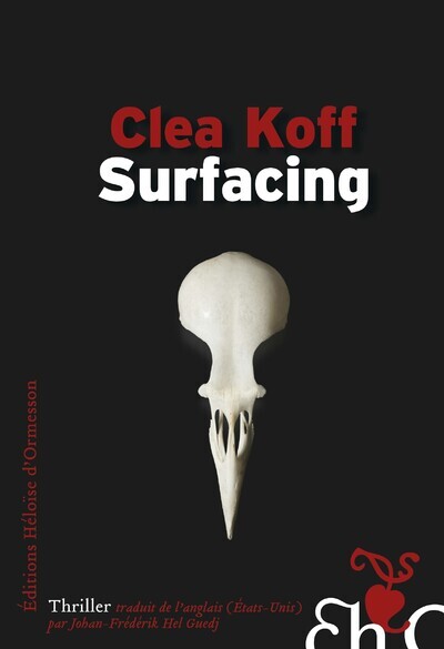 Image de Surfacing