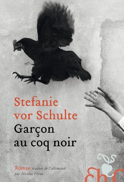 Picture of Garçon au coq noir