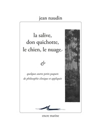 Image de La salive, Don Quichotte, le chien, le nuage... et quelques autres petits paquets de philosophie clinique et appliquée