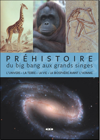 Picture of PREHISTOIRE, DU BIG BANG AU GRANDS SINGES